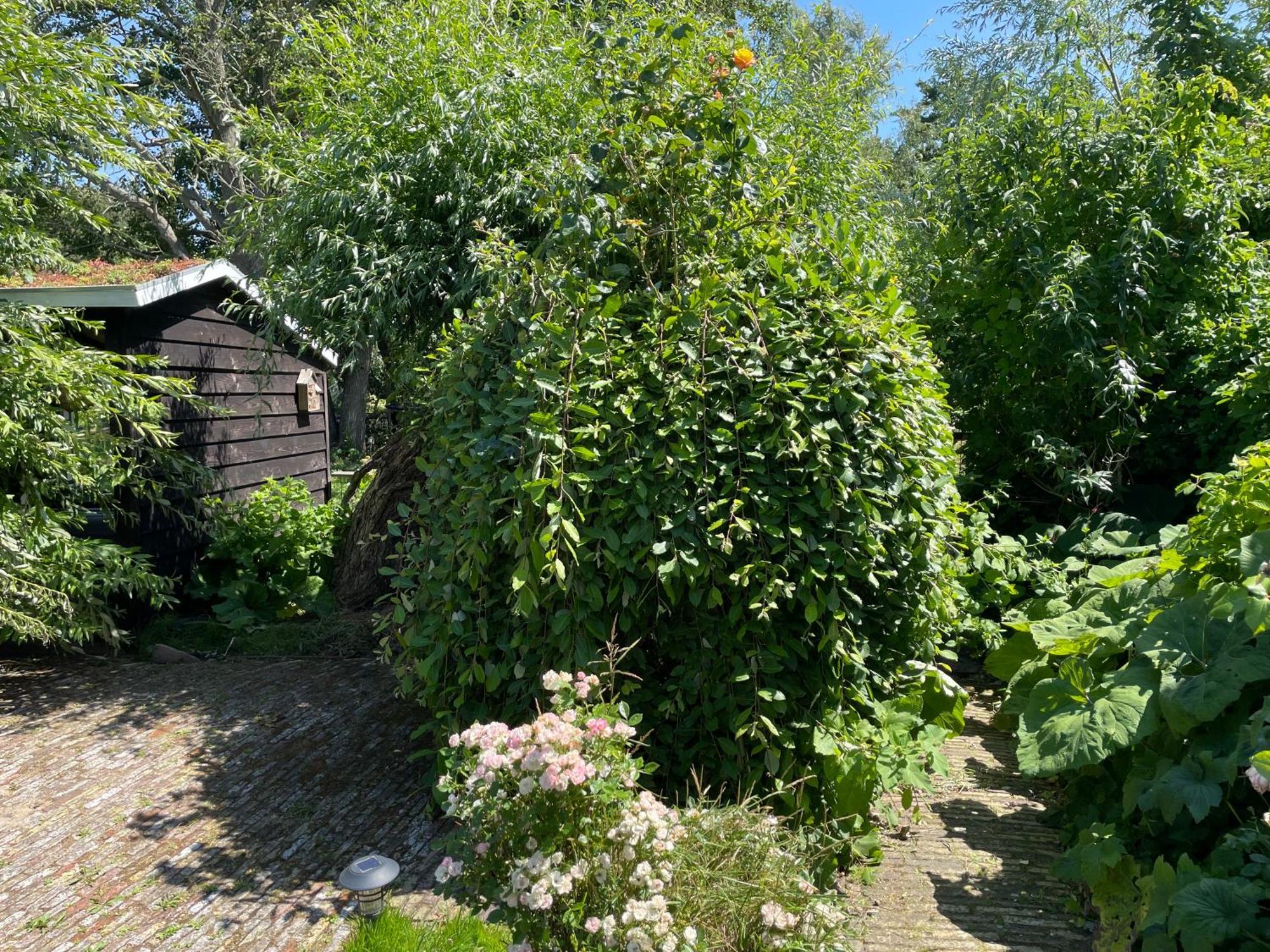 Ivy Cottage Near Amsterdam Oudendijk Exterior photo