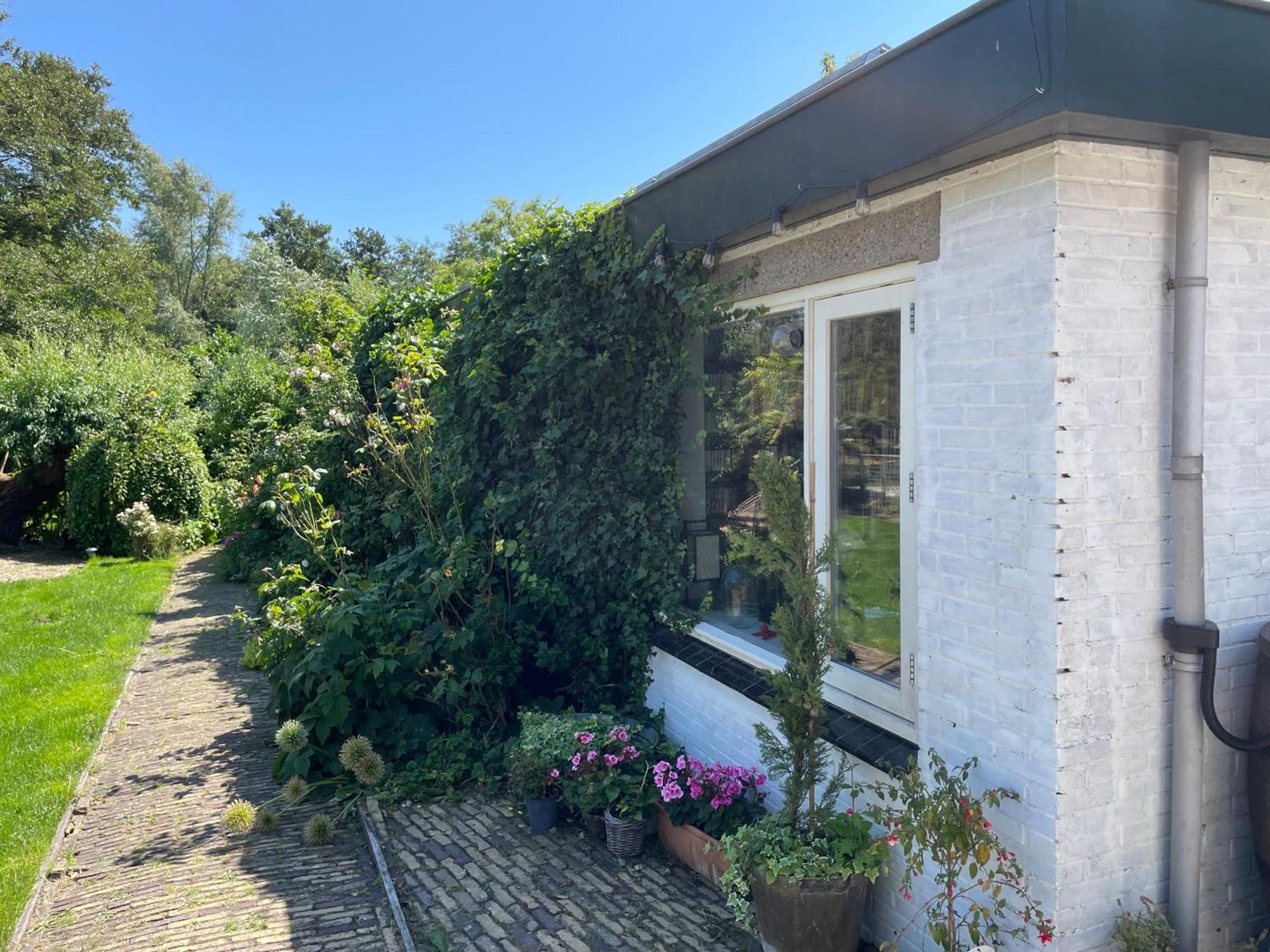 Ivy Cottage Near Amsterdam Oudendijk Exterior photo